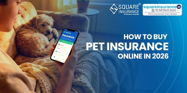 How to Buy Pet Insurance Online in 2026 How to Buy Pet Insurance Online in 2026